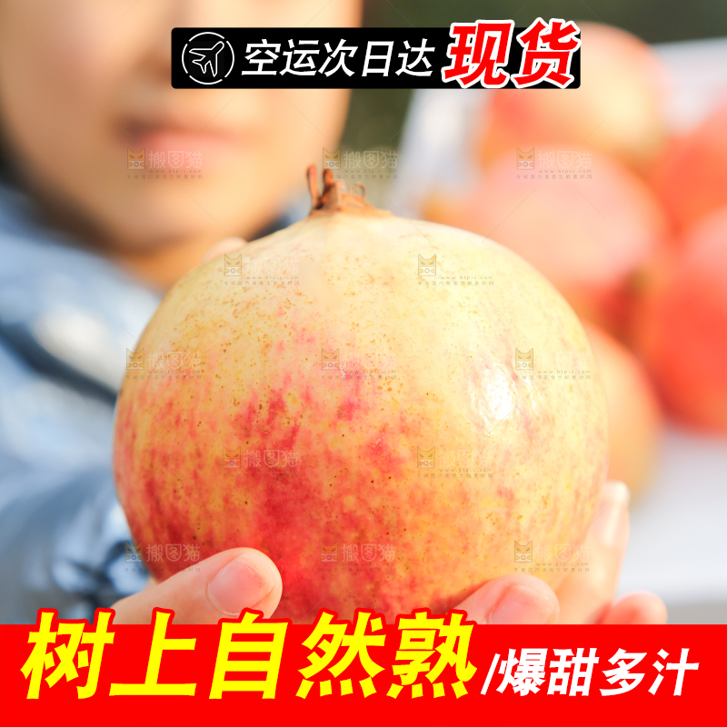 手里拿着突尼斯石榴