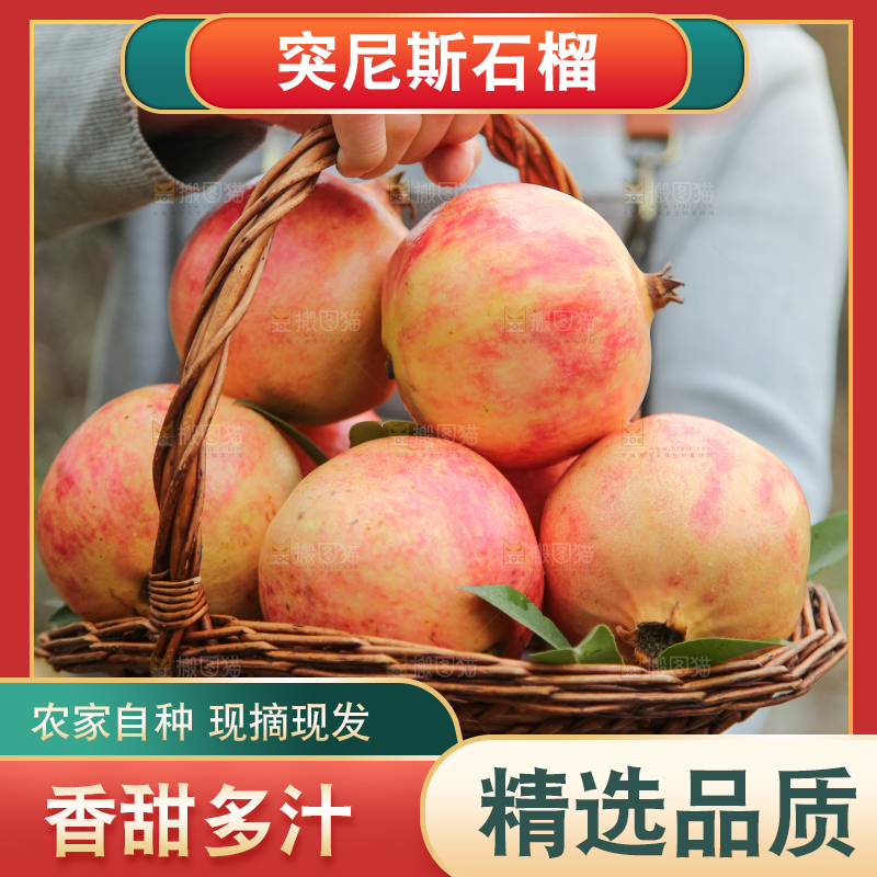 手里拿着突尼斯石榴