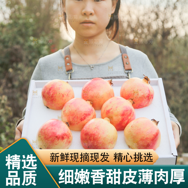手里拿着突尼斯石榴