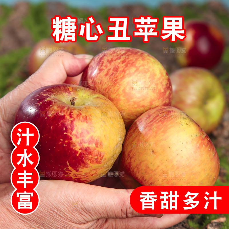 手里拿着昭通丑苹果