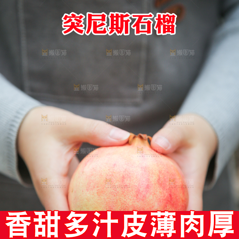 手里拿着突尼斯石榴