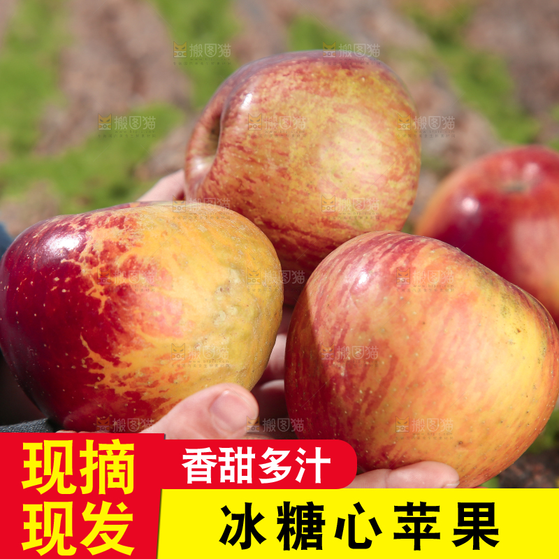 手里拿着昭通丑苹果