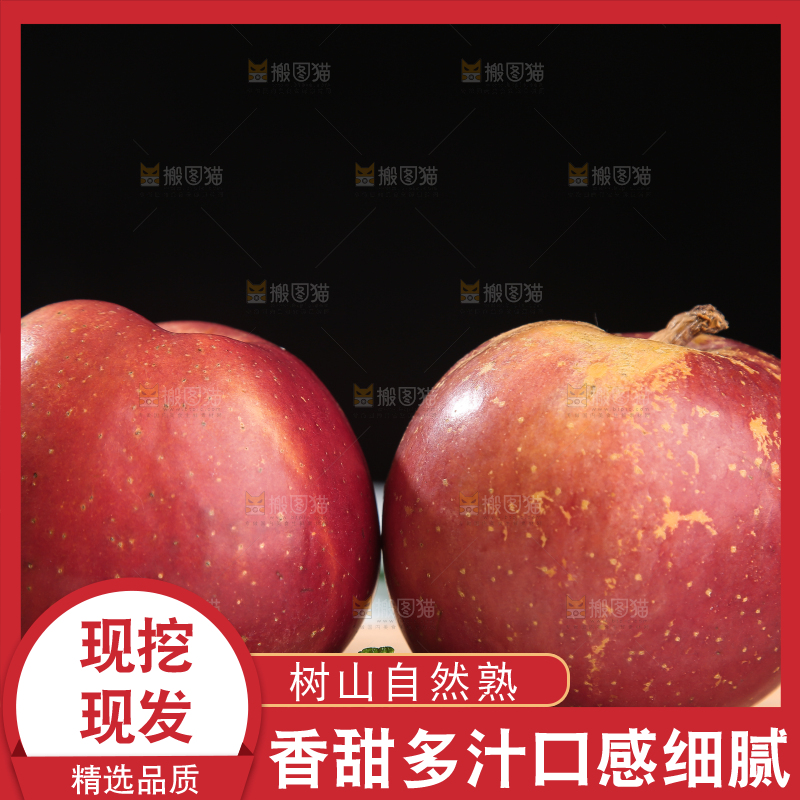 浅底上的昭通丑苹果