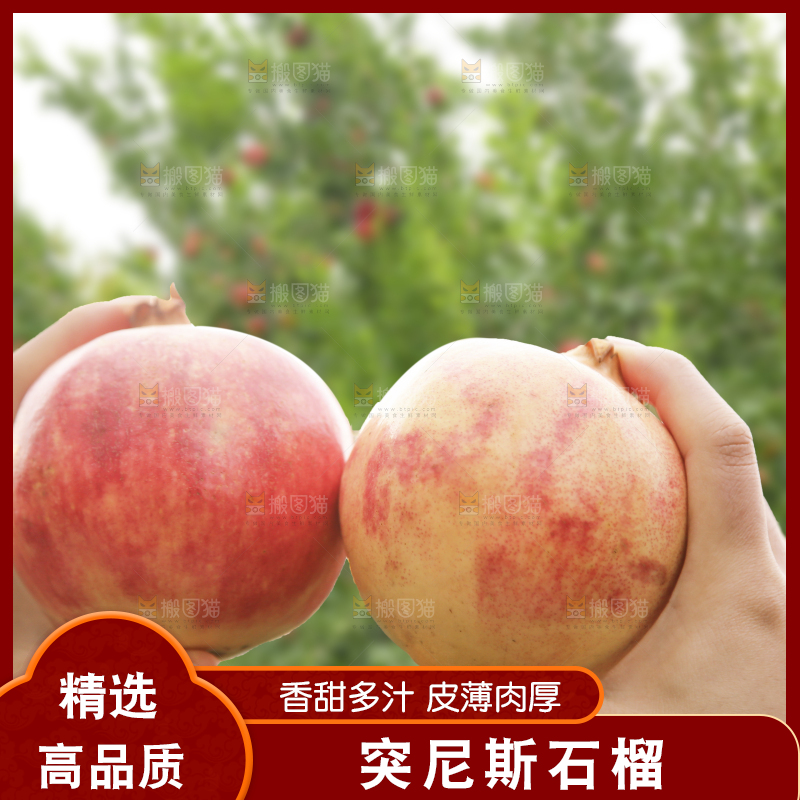 手里拿着突尼斯石榴
