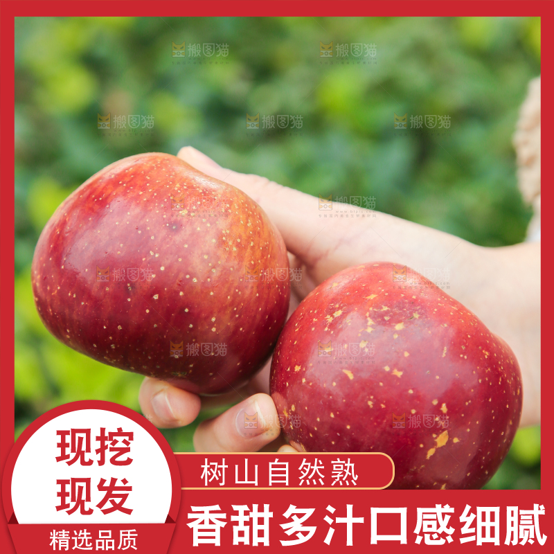 手里拿着昭通丑苹果