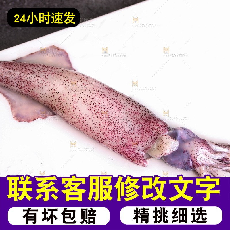 深底上的海兔