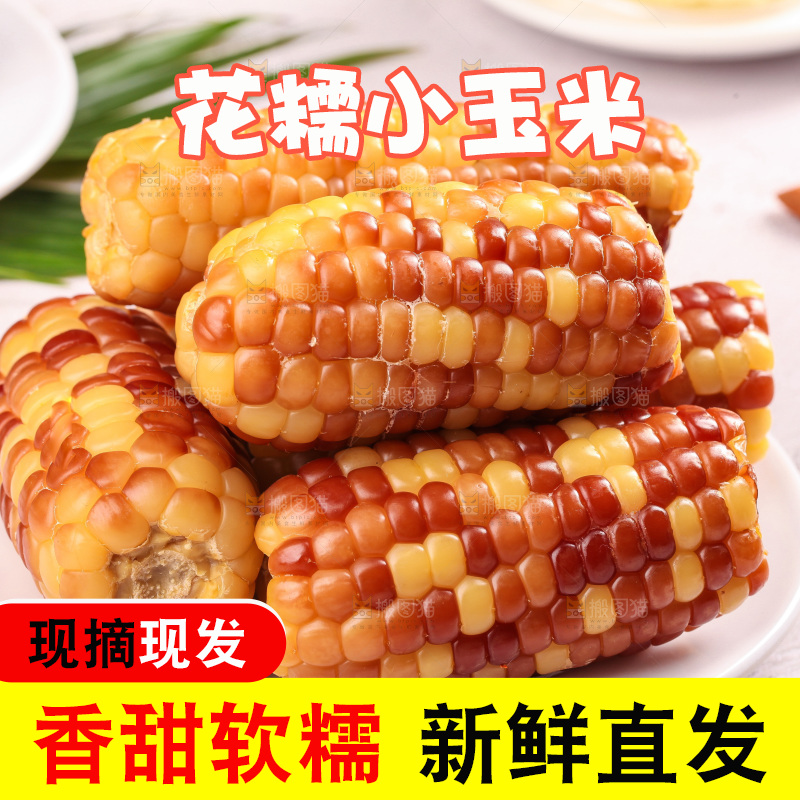 浅底上的小花糯玉米