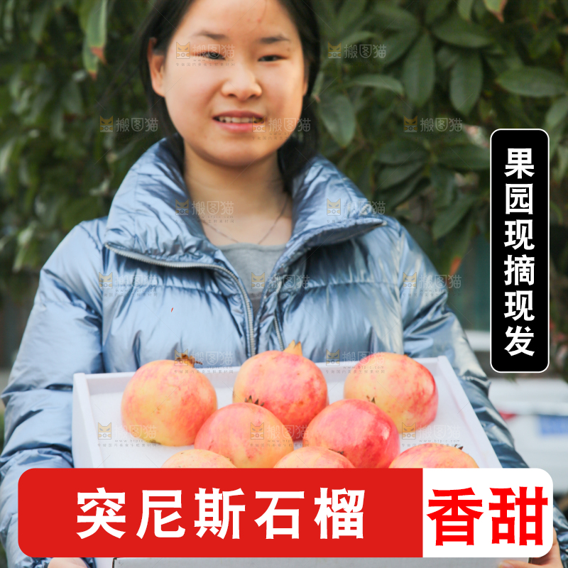 手里拿着突尼斯石榴