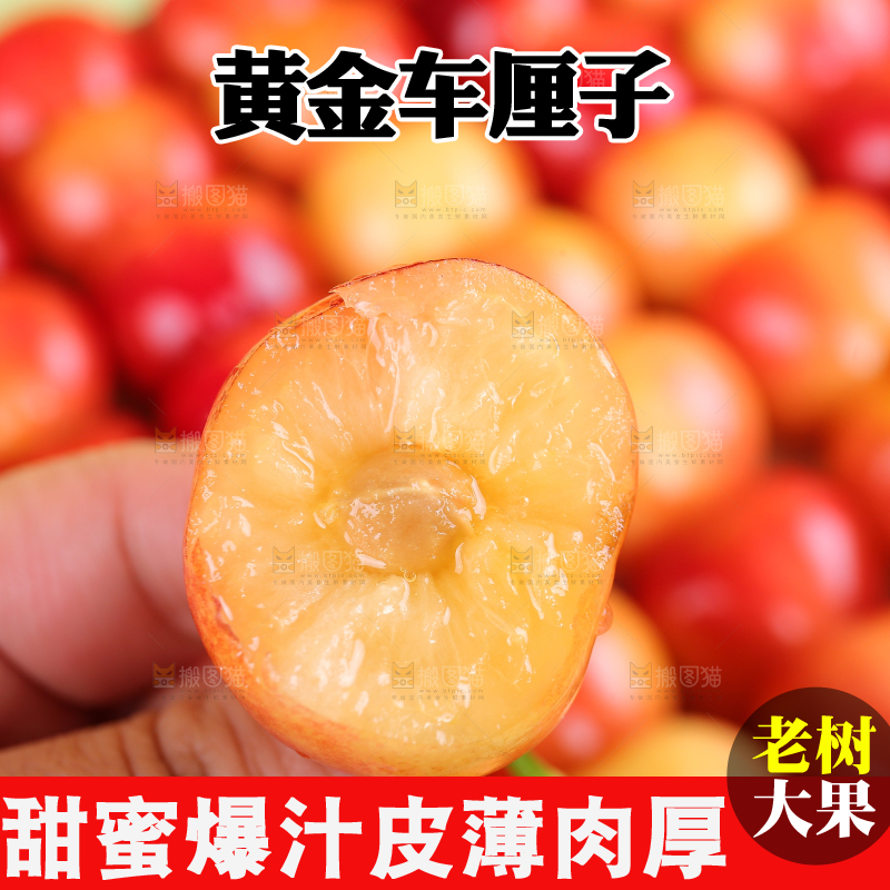 浅底上的黄金车厘子