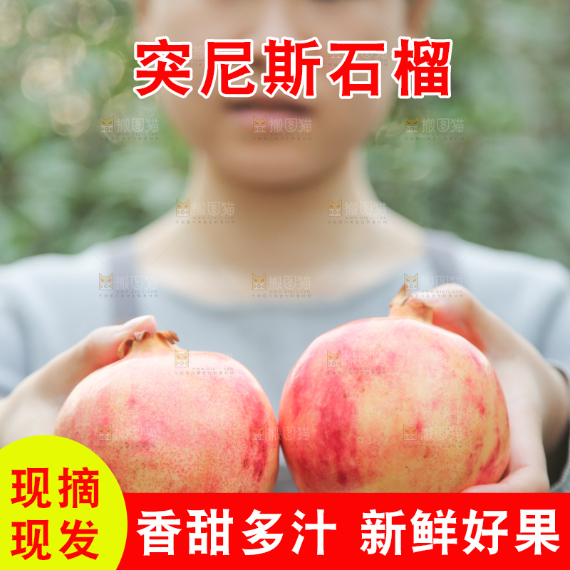 手里拿着突尼斯石榴