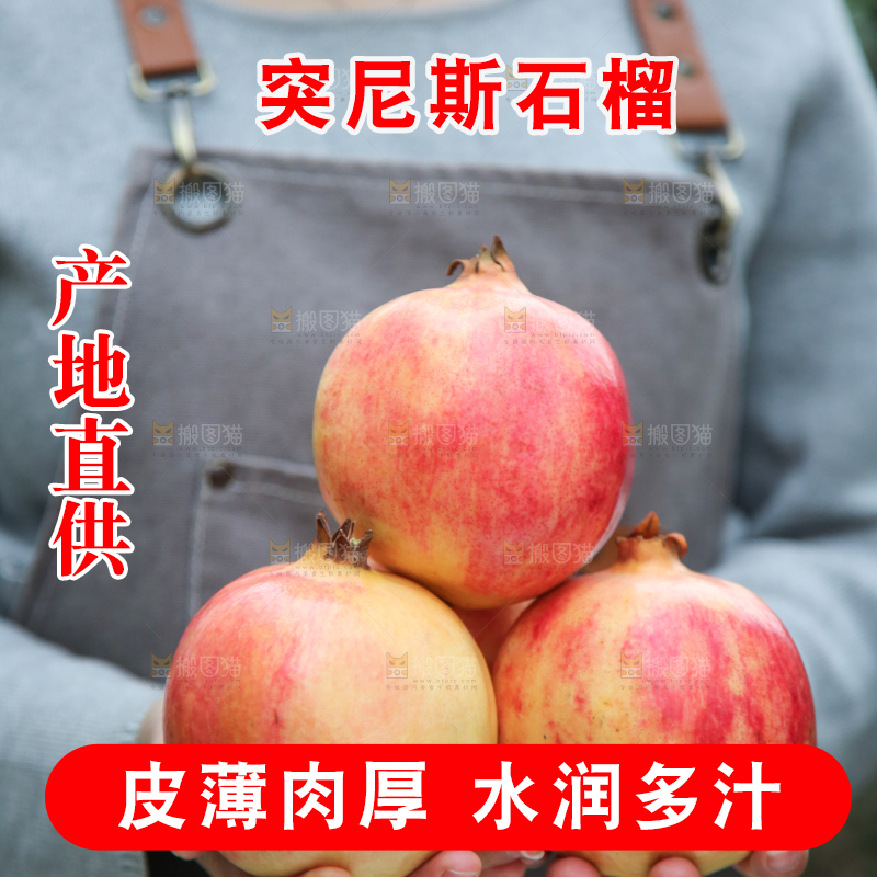 手里拿着突尼斯石榴