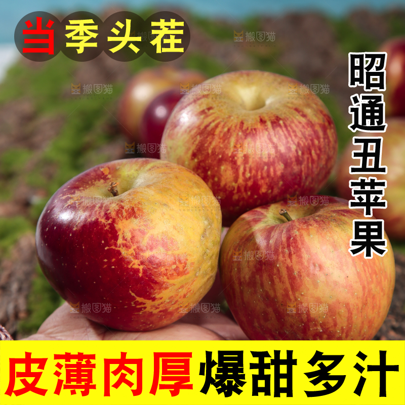 手里拿着昭通丑苹果