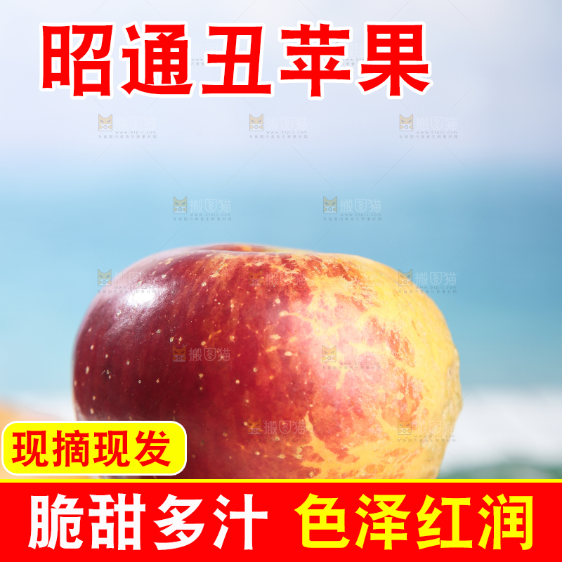 浅底上的昭通丑苹果