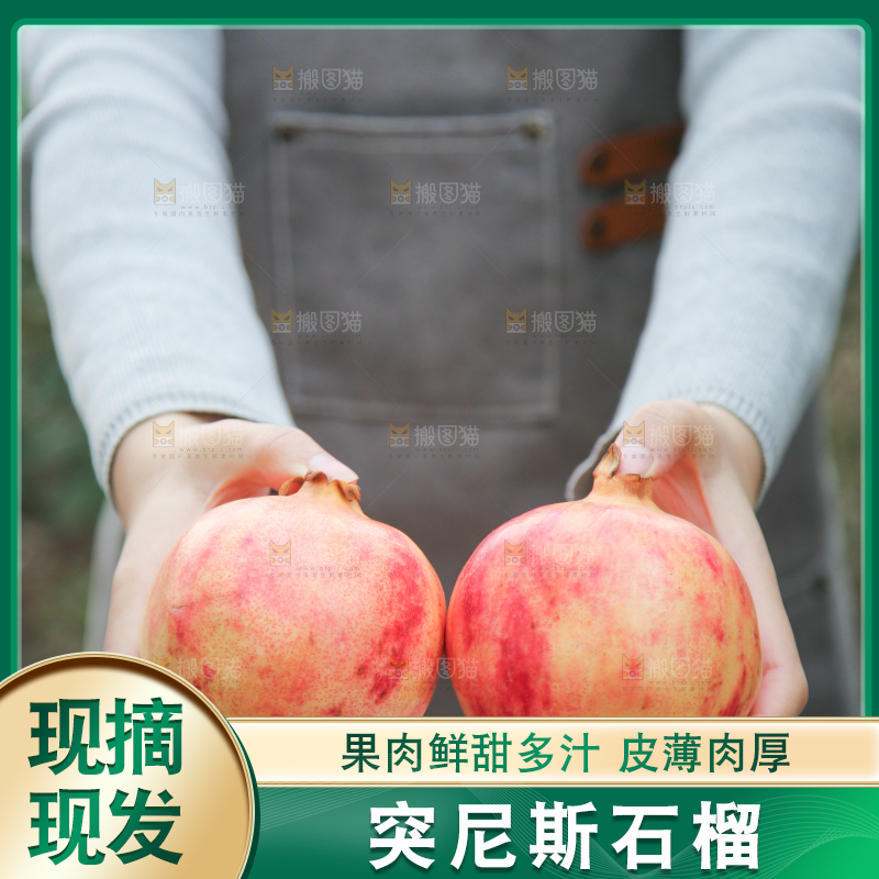 手里拿着突尼斯石榴