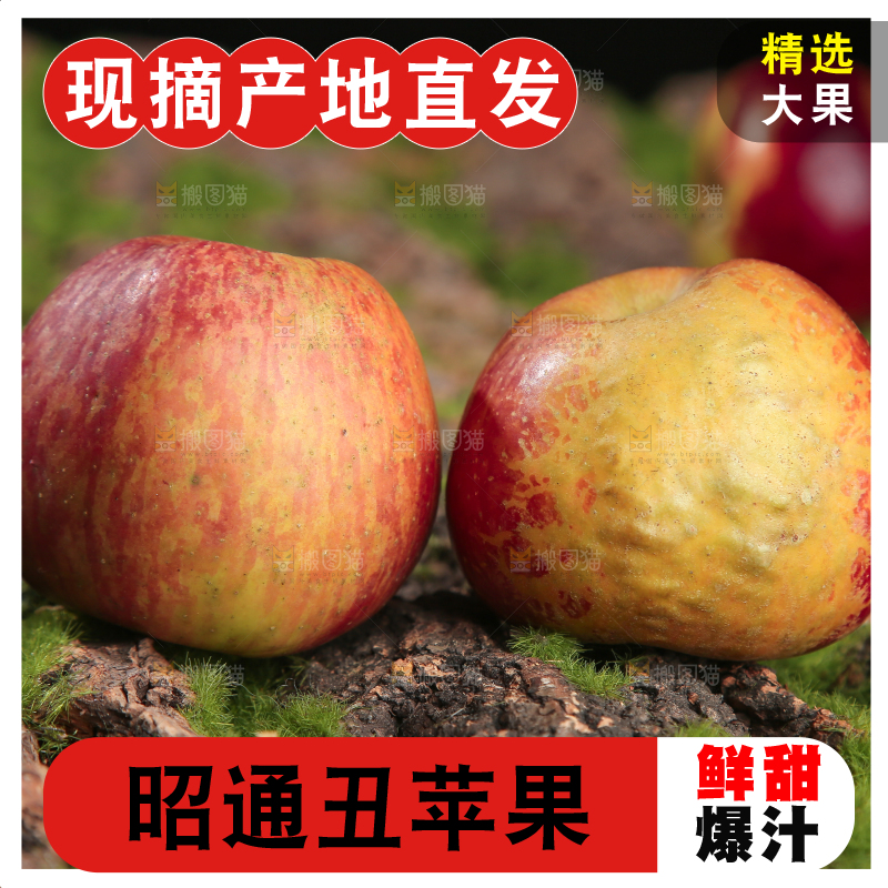 手里拿着昭通丑苹果