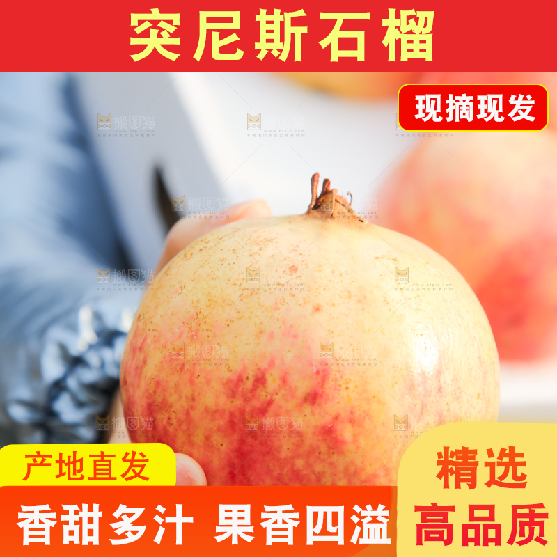 手里拿着突尼斯石榴