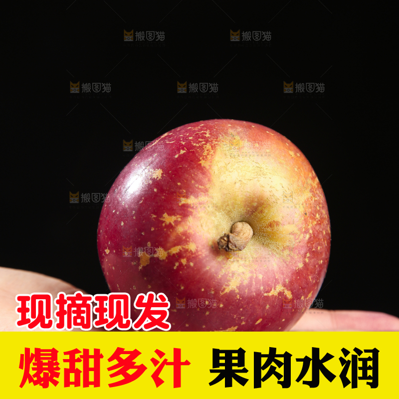 浅底上的昭通丑苹果