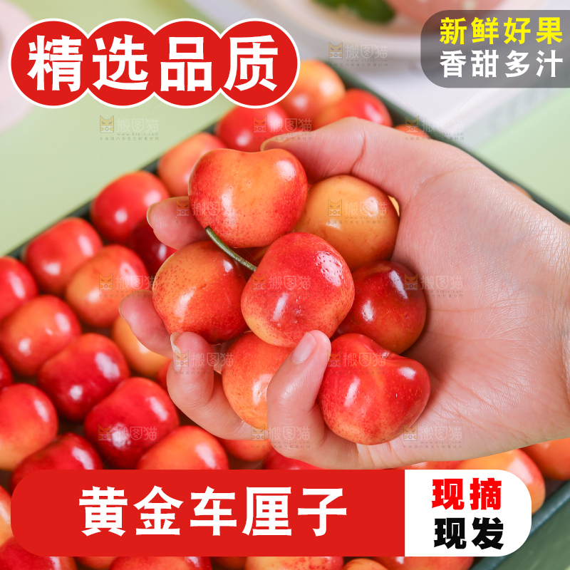 浅底上的黄金车厘子