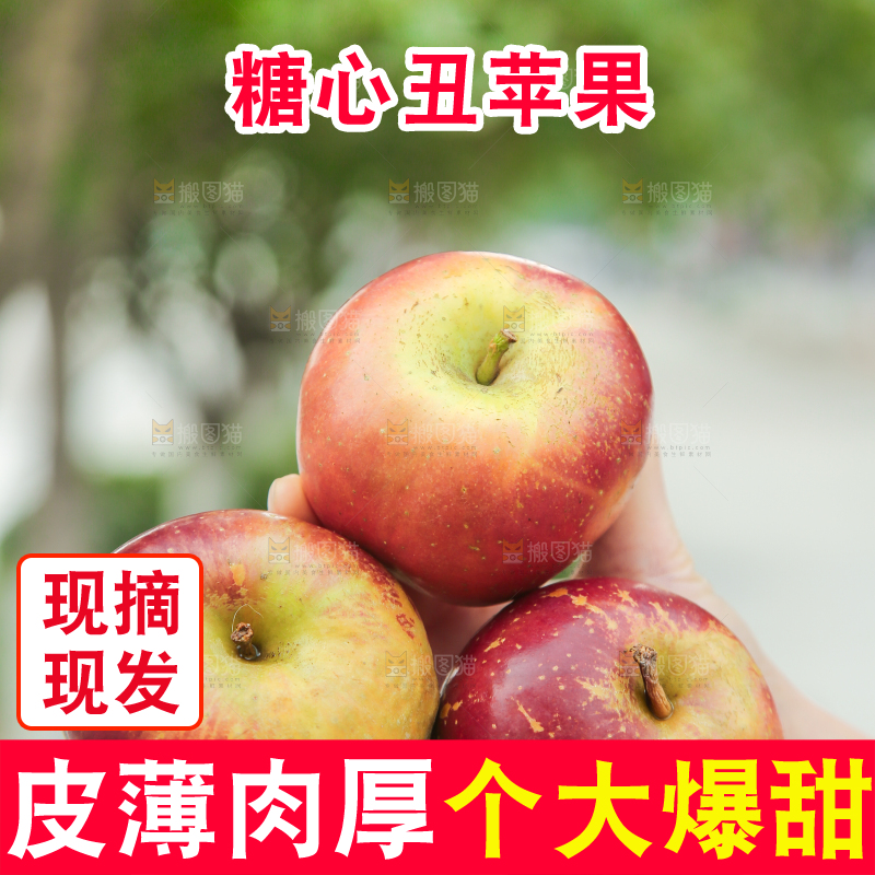 手里拿着昭通丑苹果