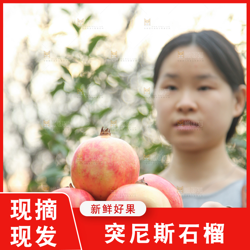 手里拿着突尼斯石榴