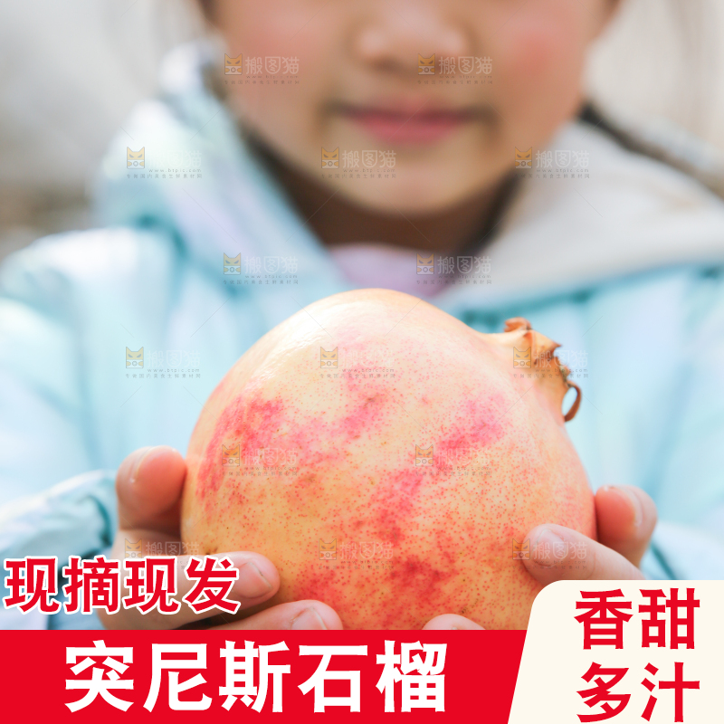手里拿着突尼斯石榴