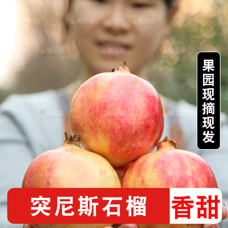手里拿着突尼斯石榴