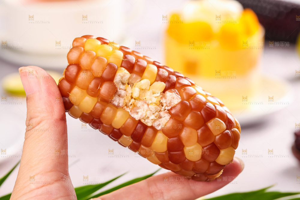 浅底上的小花糯玉米
