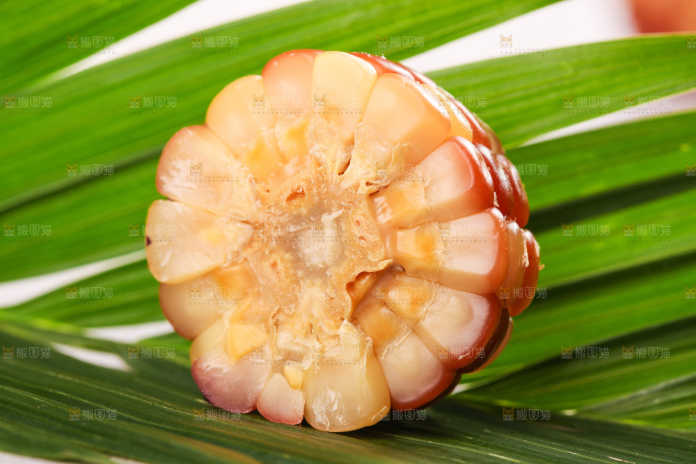 浅底上的小花糯玉米