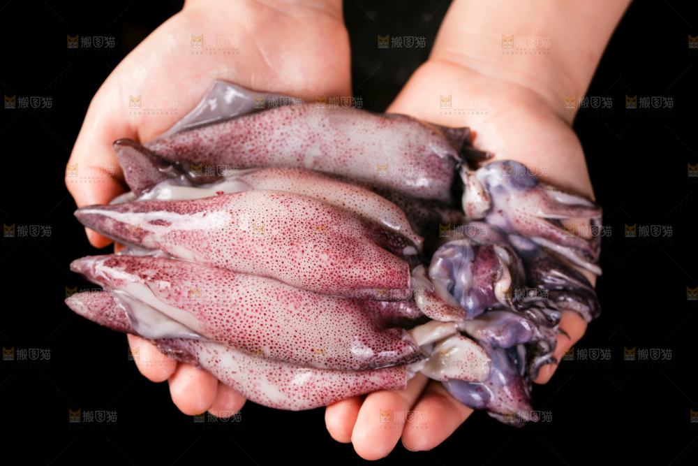 黑底上的海兔