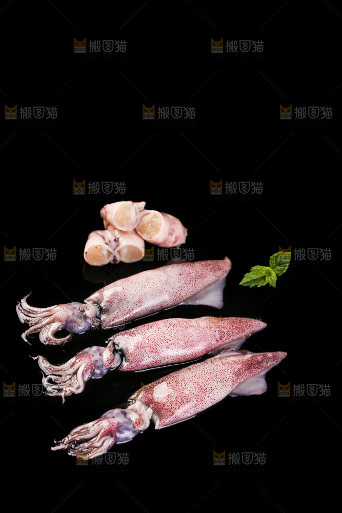 黑底上的海兔