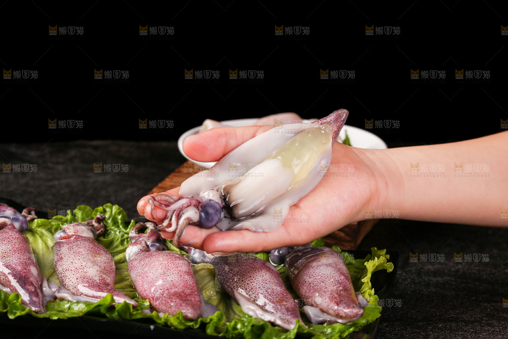深底上的海兔