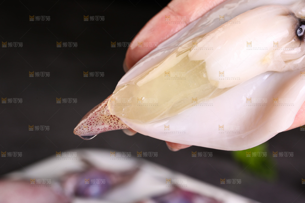 深底上的海兔