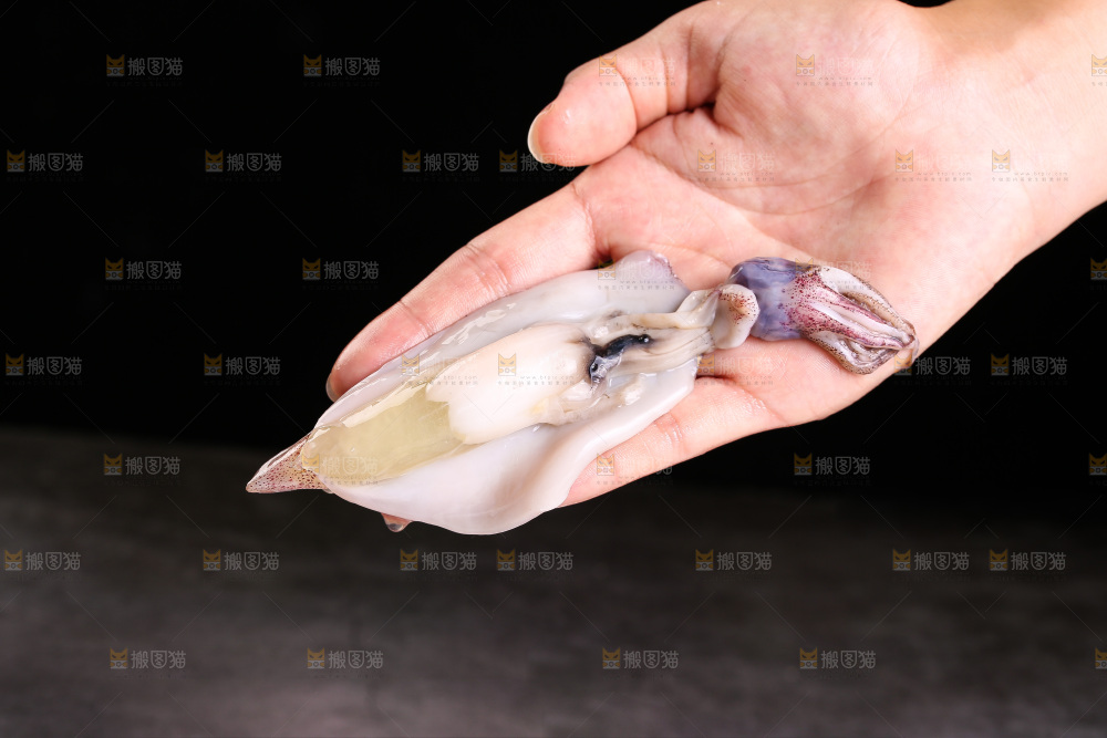 深底上的海兔