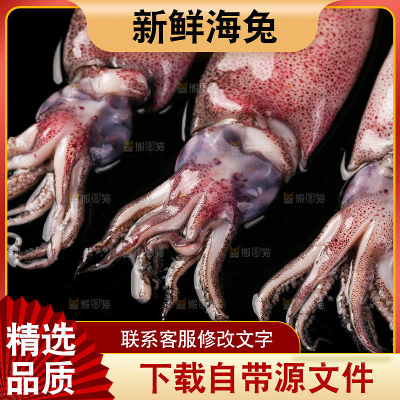 黑底上的海兔
