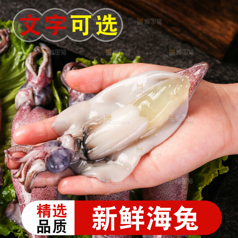 深底上的海兔