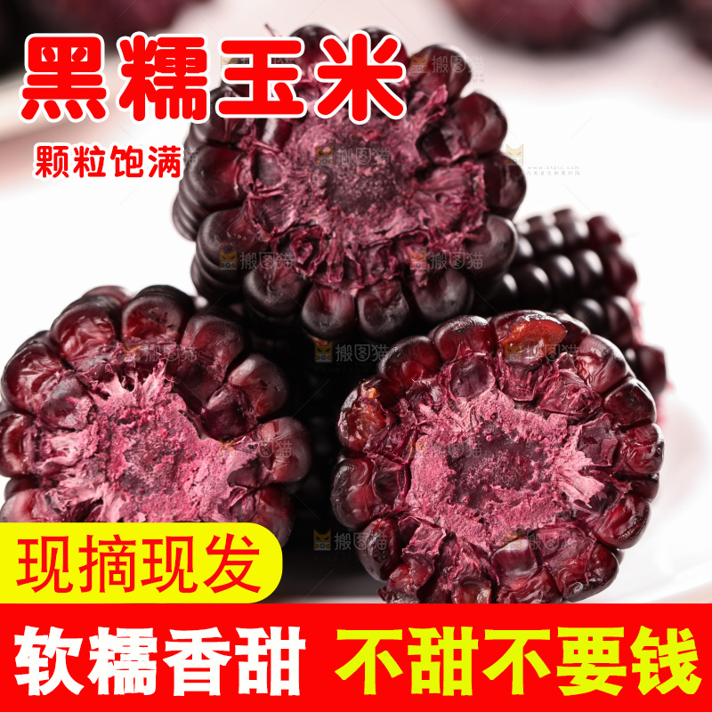 浅底上的黑糯玉米