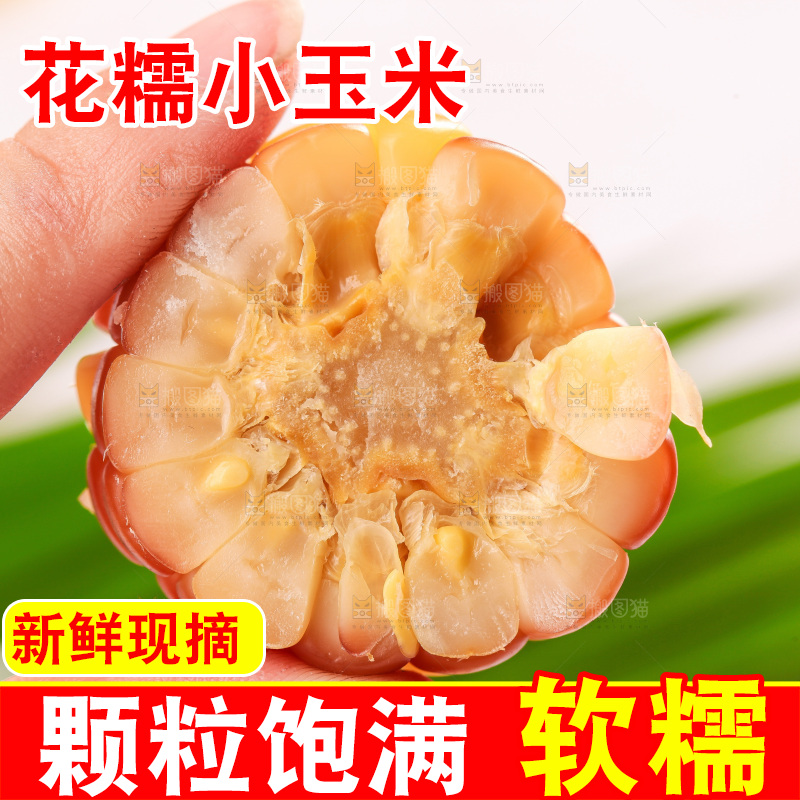 浅底上的小花糯玉米