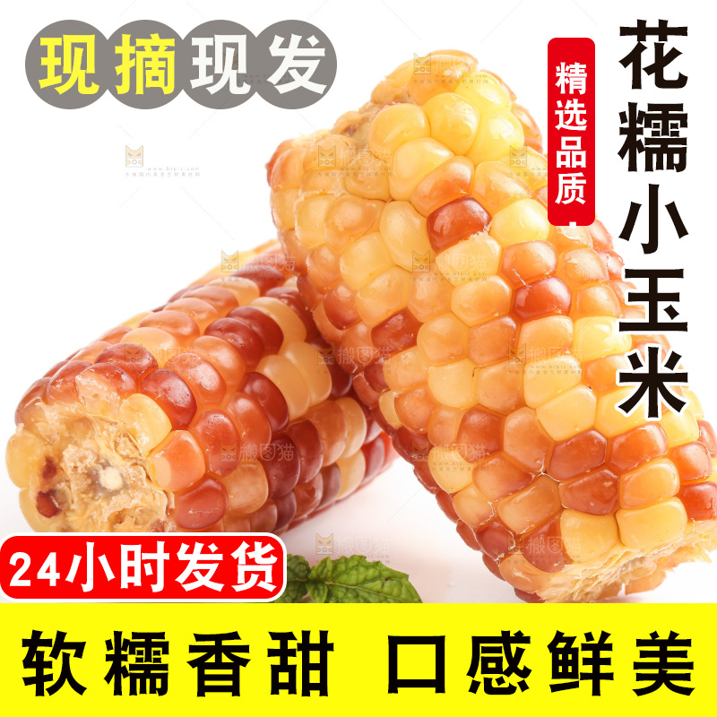 白底上的小花糯玉米