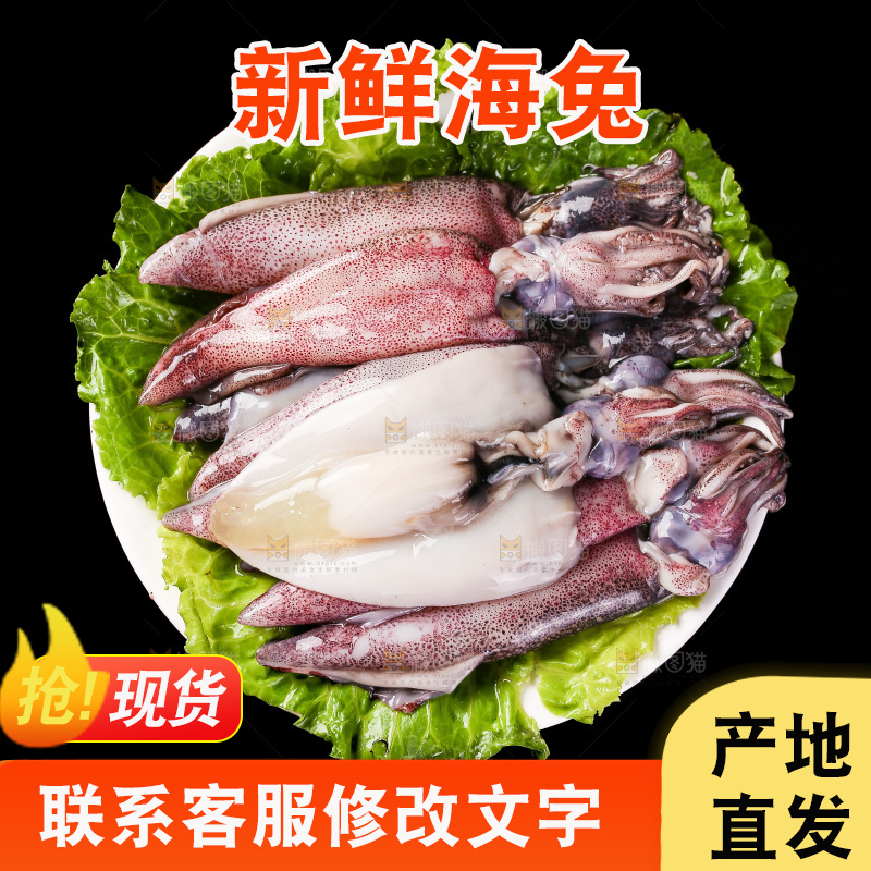 黑底上的海兔
