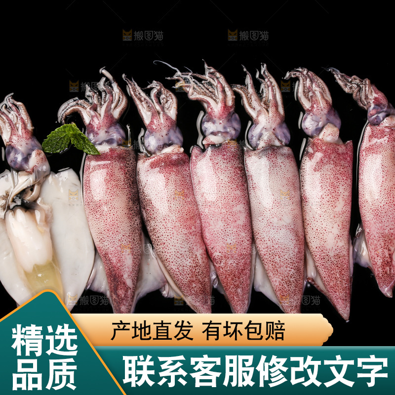 黑底上的海兔