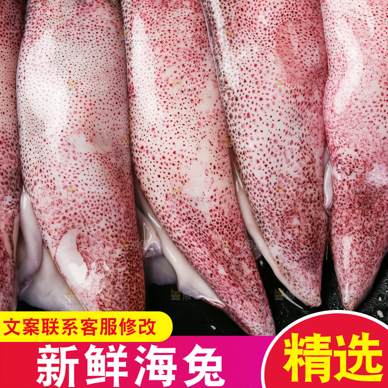 深底上的海兔