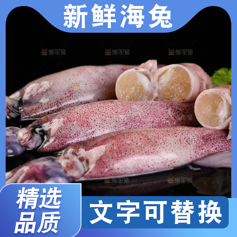 黑底上的海兔