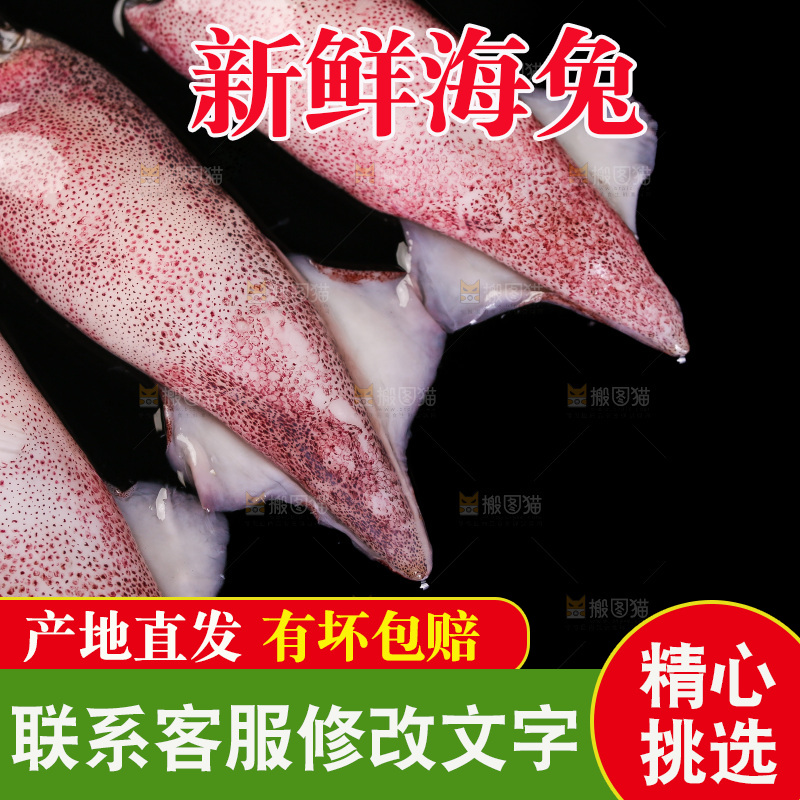 黑底上的海兔