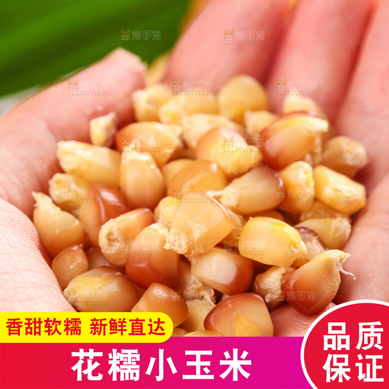 浅底上的小花糯玉米