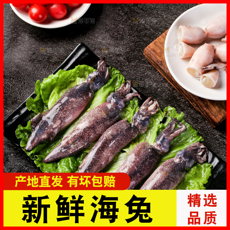 深底上的海兔