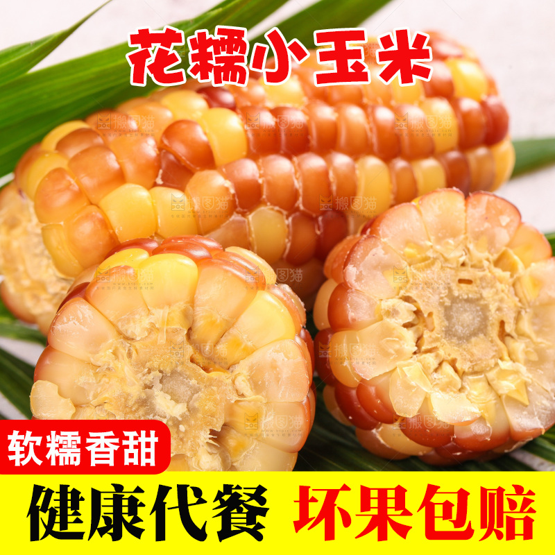 浅底上的小花糯玉米