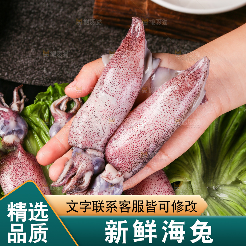 深底上的海兔