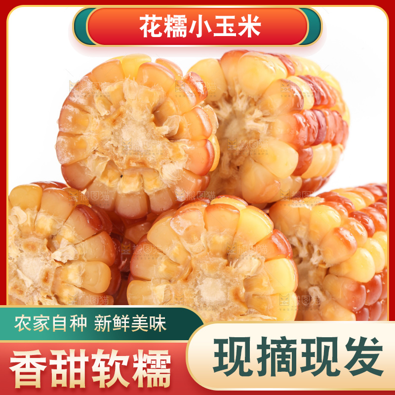 白底上的小花糯玉米