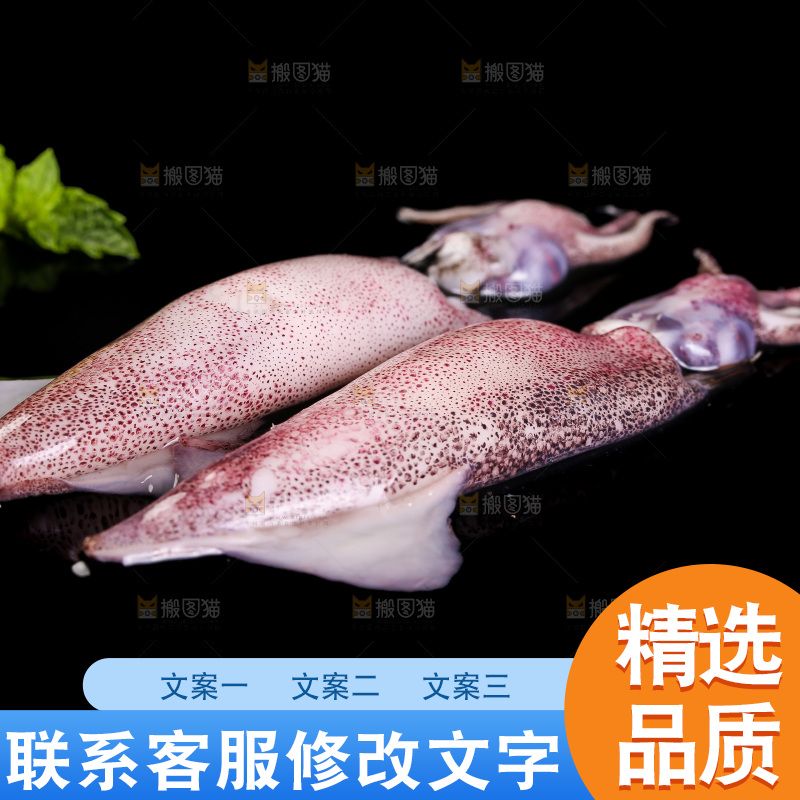 黑底上的海兔