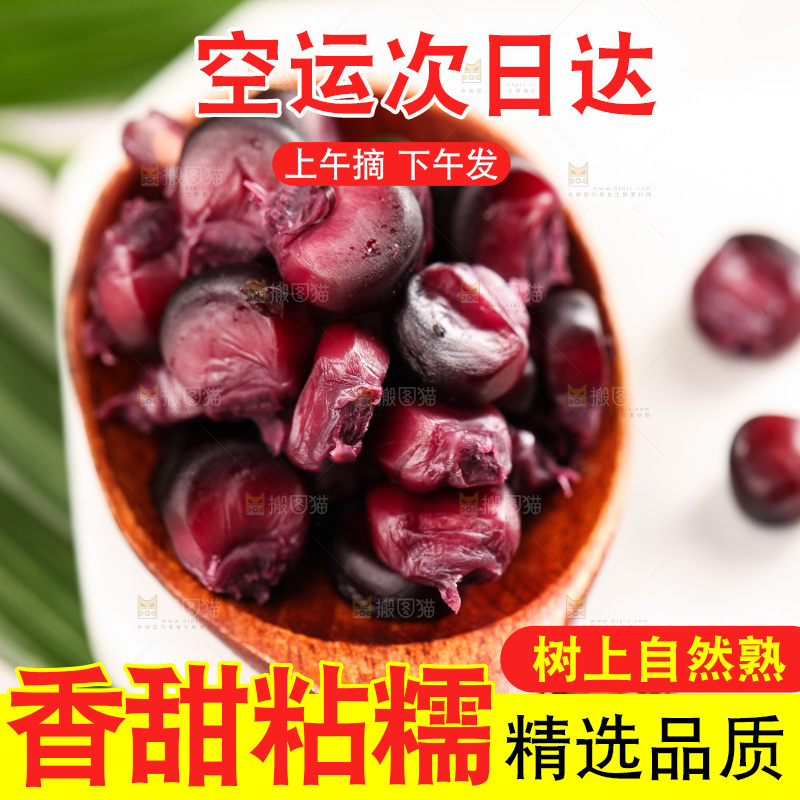 浅底上的黑糯玉米